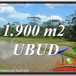 DIJUAL MURAH TANAH di UBUD BALI Untuk INVESTASI TJUB629