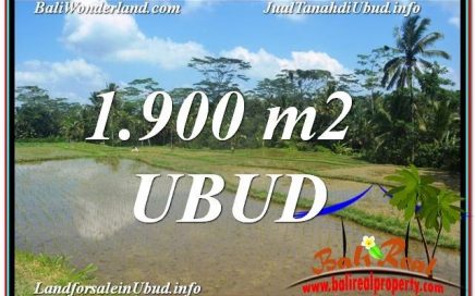 DIJUAL MURAH TANAH di UBUD BALI Untuk INVESTASI TJUB629