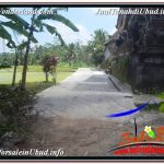 DIJUAL MURAH TANAH di UBUD BALI Untuk INVESTASI TJUB629