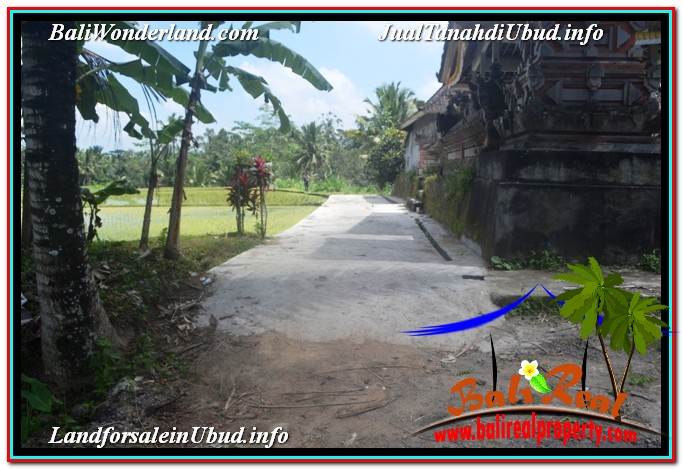 DIJUAL MURAH TANAH di UBUD BALI Untuk INVESTASI TJUB629