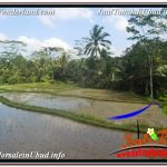 DIJUAL MURAH TANAH di UBUD BALI Untuk INVESTASI TJUB629