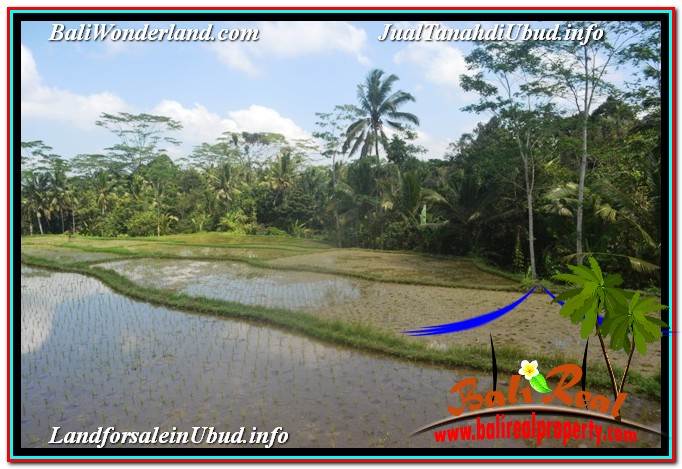 DIJUAL MURAH TANAH di UBUD BALI Untuk INVESTASI TJUB629