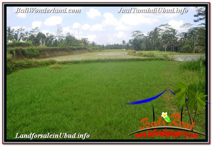 DIJUAL MURAH TANAH di UBUD BALI Untuk INVESTASI TJUB629