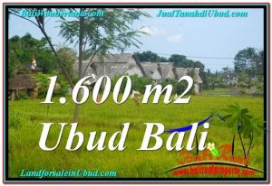 JUAL MURAH TANAH di UBUD BALI 16 Are View Sawah, Link. Villa