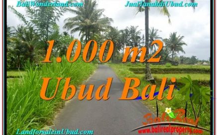 TANAH DIJUAL MURAH di UBUD 10 Are di Ubud Tampak Siring