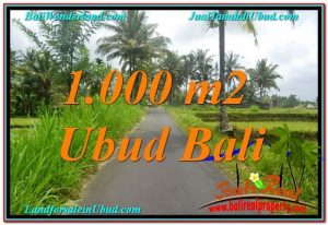 DIJUAL TANAH MURAH di UBUD TJUB634