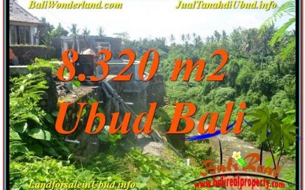 TANAH MURAH DIJUAL di UBUD 83 Are di Sentral / Ubud Center