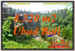 TANAH di UBUD BALI DIJUAL MURAH TJUB635