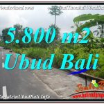 TANAH MURAH di UBUD BALI DIJUAL 58 Are View Hutan dan Sungai