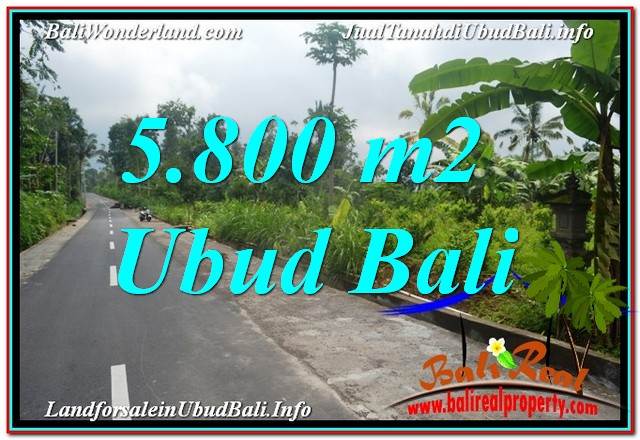 TANAH MURAH di UBUD BALI DIJUAL 58 Are View Hutan dan Sungai