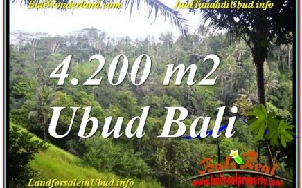 TANAH MURAH DIJUAL di UBUD BALI TJUB639