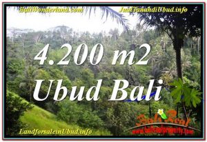 JUAL TANAH MURAH di UBUD Untuk INVESTASI TJUB639