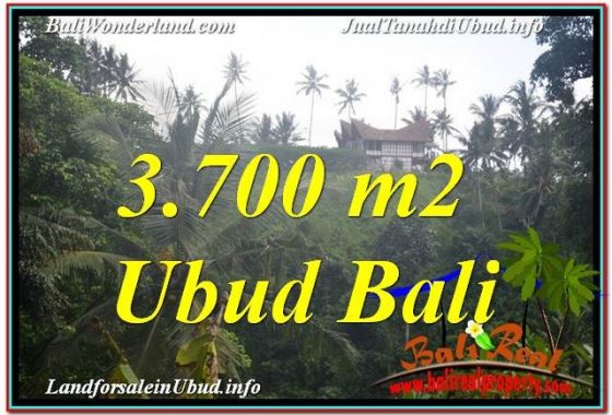 TANAH MURAH di UBUD BALI 3,700 m2 di Sentral / Ubud Center