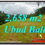 TANAH di UBUD DIJUAL MURAH 2,658 m2 di Sentral / Ubud Center