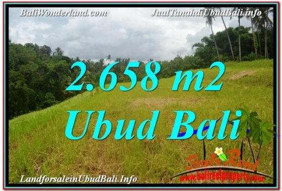 TANAH di UBUD DIJUAL MURAH 2,658 m2 di Sentral / Ubud Center