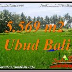 JUAL TANAH MURAH di UBUD 56 Are View Sawah dan Sungai Kecil