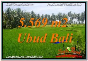 TANAH DIJUAL MURAH di UBUD BALI TJUB642