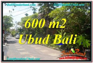 TANAH JUAL MURAH UBUD 600 m2 Kawasan Hotel, Villa dan Restaurant