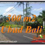 TANAH di UBUD BALI DIJUAL MURAH 3 Are di Sentral / Ubud Center