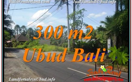 JUAL TANAH MURAH di UBUD BALI 3 Are View Link. Villa dan Restoran