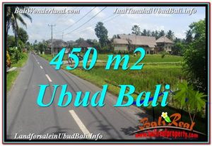 TANAH MURAH di UBUD BALI DIJUAL 5 Are di Sentral / Ubud Center