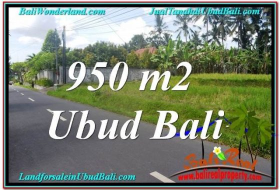 JUAL TANAH di UBUD 10 Are View Sawah dan Sungai Kecil, Link. Villa