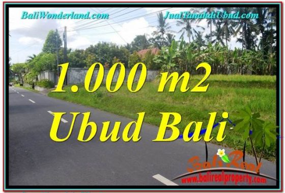 JUAL MURAH TANAH di UBUD 10 Are View Sawah dan Sungai Kecil, Link. Villa