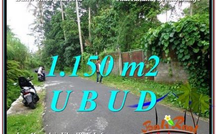 TANAH di UBUD BALI DIJUAL MURAH 12 Are di Ubud Pejeng