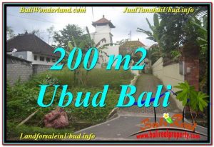 JUAL TANAH di UBUD BALI 200 m2 Lingkungan Villa