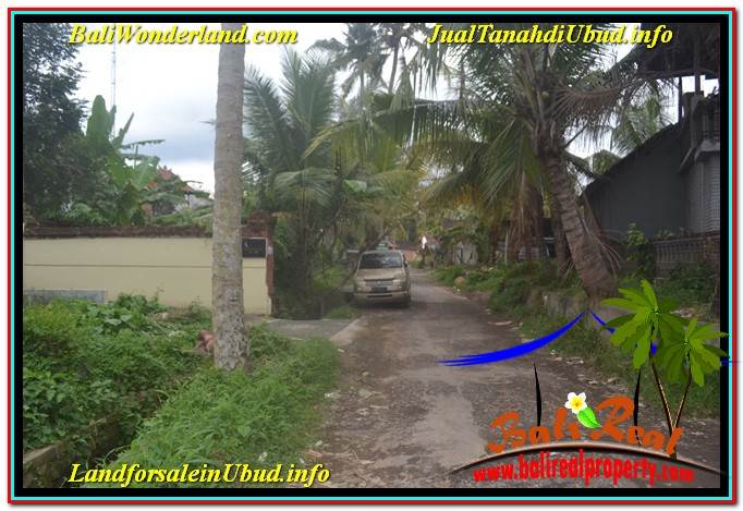 DIJUAL TANAH di UBUD BALI TJUB632