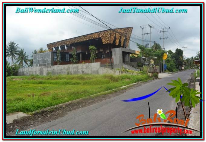 DIJUAL MURAH TANAH di UBUD BALI Untuk INVESTASI TJUB633