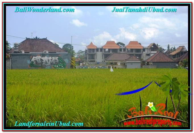 DIJUAL MURAH TANAH di UBUD BALI Untuk INVESTASI TJUB633