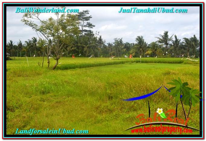 DIJUAL MURAH TANAH di UBUD BALI Untuk INVESTASI TJUB633