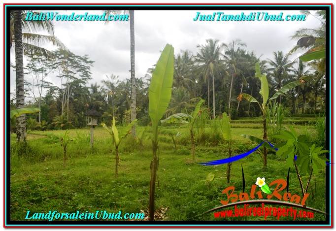 INVESTASI PROPERTY, JUAL TANAH MURAH di UBUD BALI TJUB634