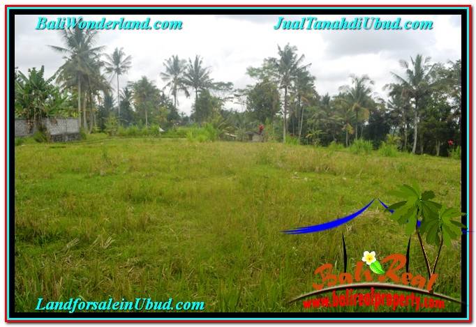 INVESTASI PROPERTY, JUAL TANAH MURAH di UBUD BALI TJUB634