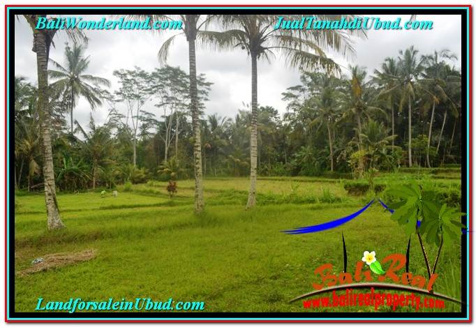 INVESTASI PROPERTY, JUAL TANAH MURAH di UBUD BALI TJUB634