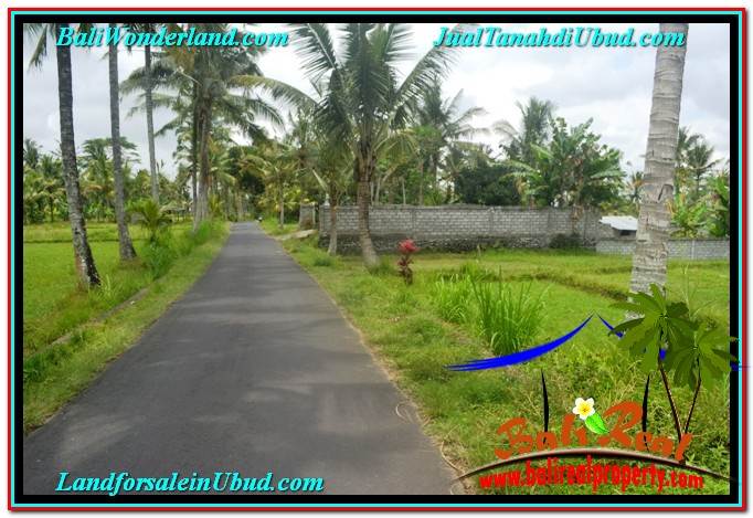 INVESTASI PROPERTY, JUAL TANAH MURAH di UBUD BALI TJUB634