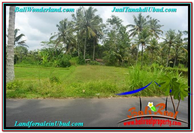 INVESTASI PROPERTY, JUAL TANAH MURAH di UBUD BALI TJUB634