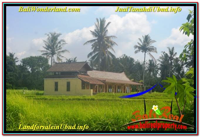 INVESTASI PROPERTY, JUAL TANAH di UBUD BALI TJUB635