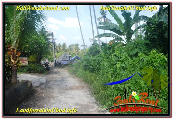 INVESTASI PROPERTY, JUAL TANAH di UBUD BALI TJUB635