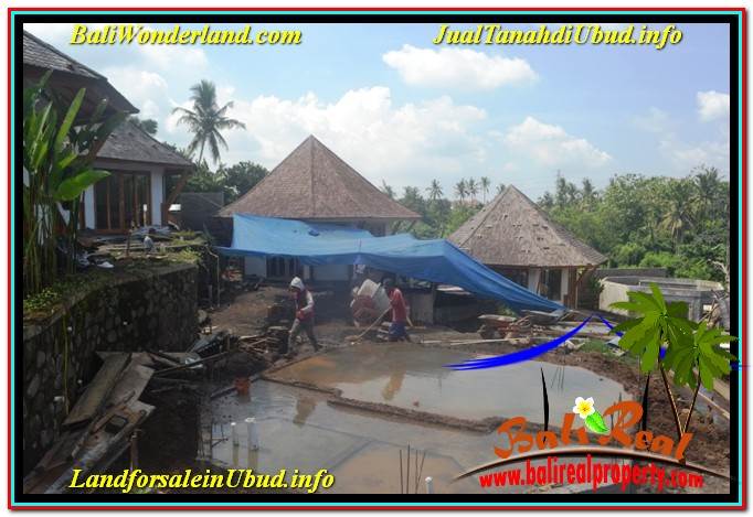 INVESTASI PROPERTY, JUAL TANAH di UBUD BALI TJUB635