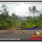 TANAH MURAH JUAL UBUD 5,800 m2 View Hutan dan Sungai