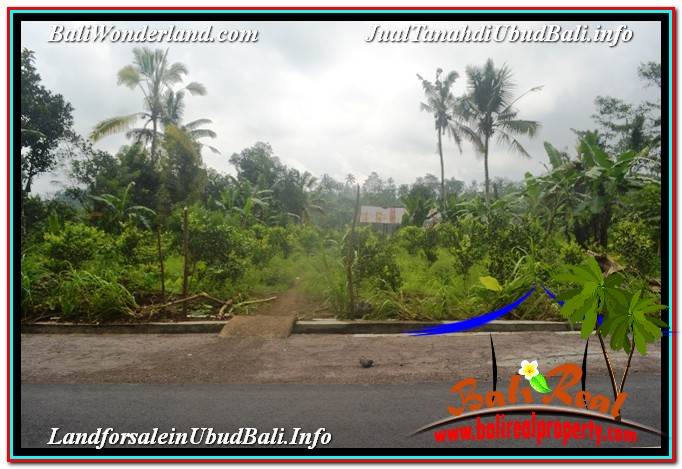 TANAH MURAH JUAL UBUD 5,800 m2 View Hutan dan Sungai