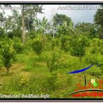 TANAH MURAH JUAL UBUD 5,800 m2 View Hutan dan Sungai