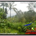 TANAH MURAH JUAL UBUD 5,800 m2 View Hutan dan Sungai