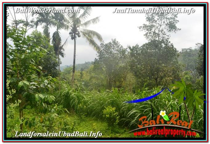 TANAH MURAH JUAL UBUD 5,800 m2 View Hutan dan Sungai