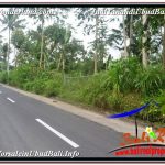 TANAH MURAH JUAL UBUD 5,800 m2 View Hutan dan Sungai