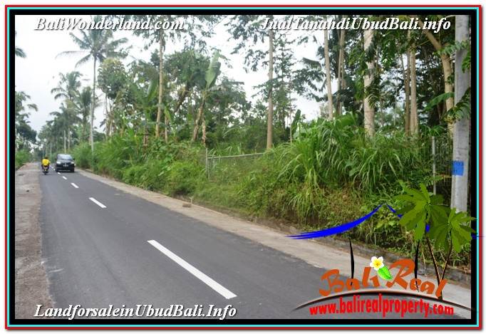 TANAH MURAH JUAL UBUD 5,800 m2 View Hutan dan Sungai