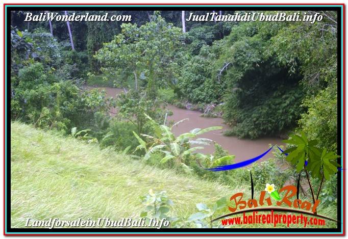 JUAL MURAH TANAH di UBUD 27 Are View Tebing dan Sungai