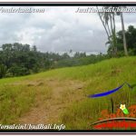 JUAL MURAH TANAH di UBUD 27 Are View Tebing dan Sungai